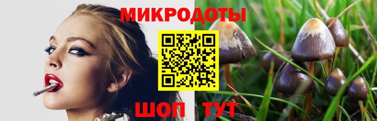 Псилоцибиновые грибы мухоморы Чусовой